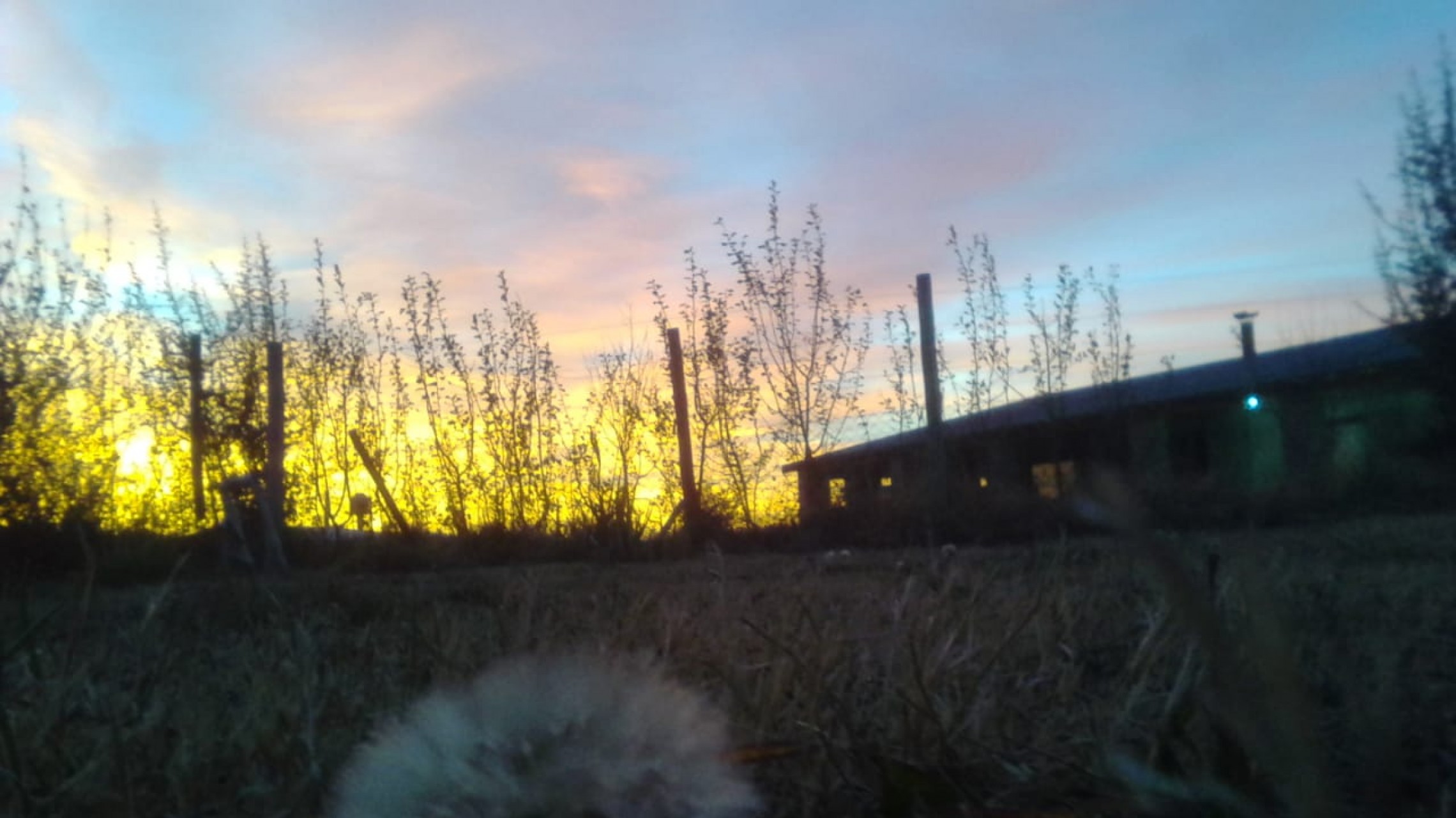 Sábado con alerta por Zonda y aumento de la temperatura en Mendoza