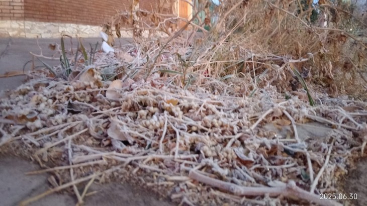 Así estará el tiempo este lunes en Mendoza