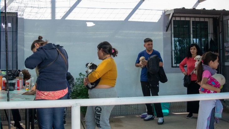 En detalle, todos los servicios veterinarios gratuitos que ofrece la Ciudad